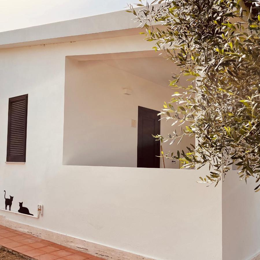 Villaggio Eco-Sostenibile Cala Molinella Vieste Ngoại thất bức ảnh